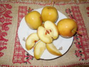 Рецепт моченых яблок в домашних условиях с медом, горчицей