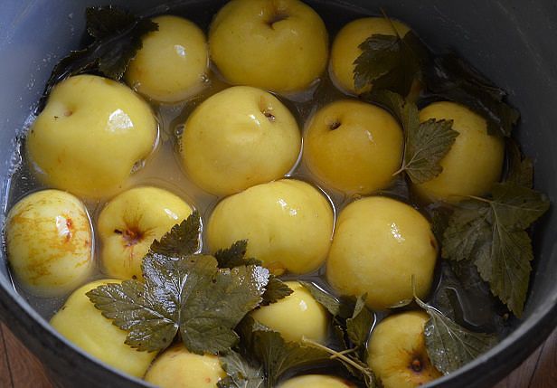 Как приготовить моченые яблоки в домашних условиях: пошаговый рецепт