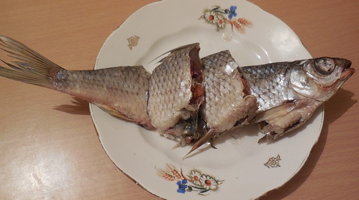 Таранька Рыба Фото