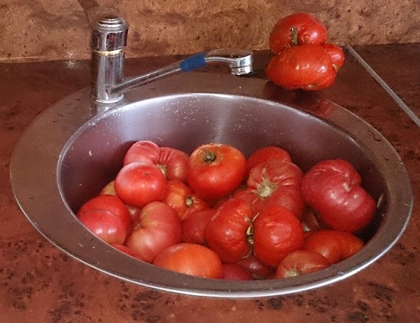 Приправа из помидоров, перца и чеснока без варки