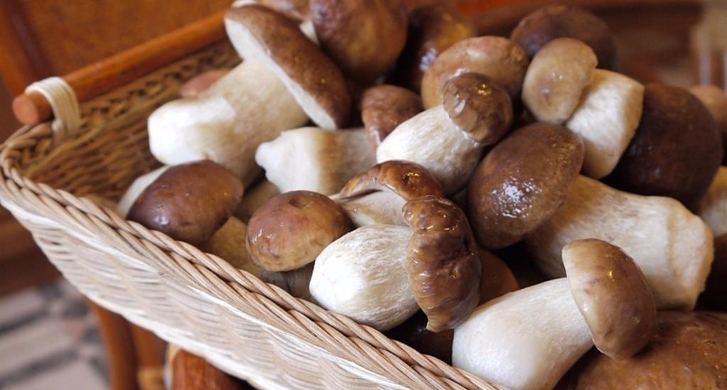 Как правильно заморозить грибы на зиму?