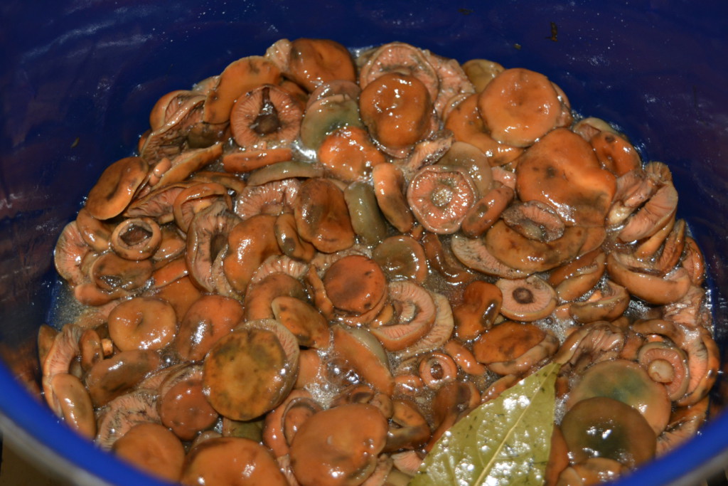 Варим грибы в маринаде