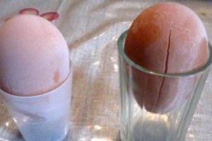 заморозка яиц