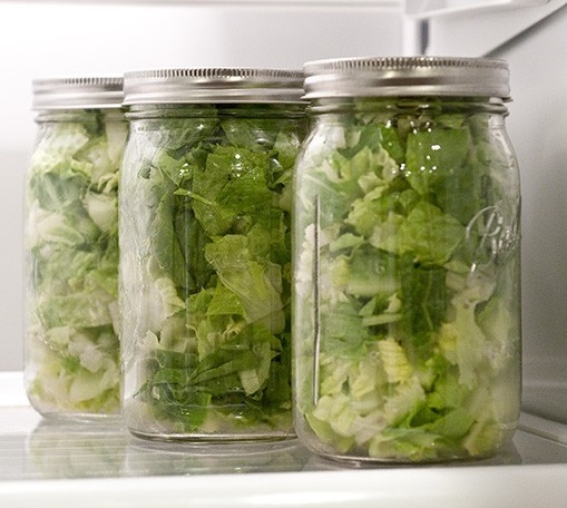 Как заморозить листья салата в морозилке на зиму: способы, советы, видео - секреты сохранения свежести