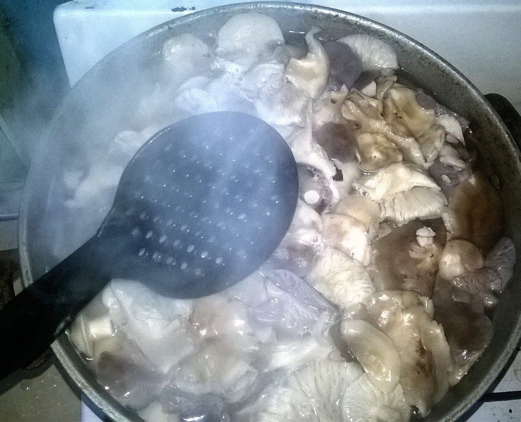 Как заморозить грибы рядовки на зиму