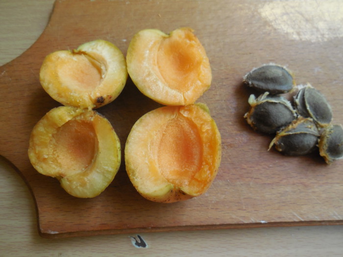 Правильное варенье из абрикосов дольками - как сварить варенье из .