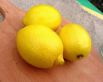 Сироп из лимона