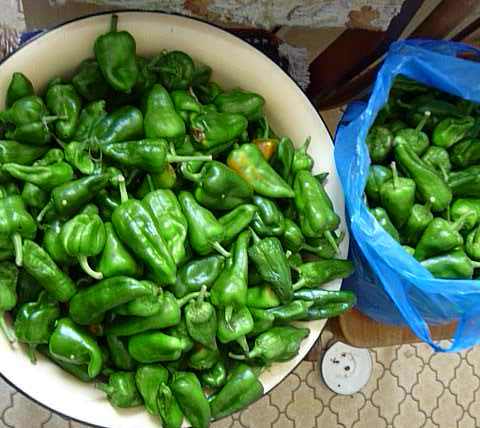 Перец Зеленый Рецепт С Фото