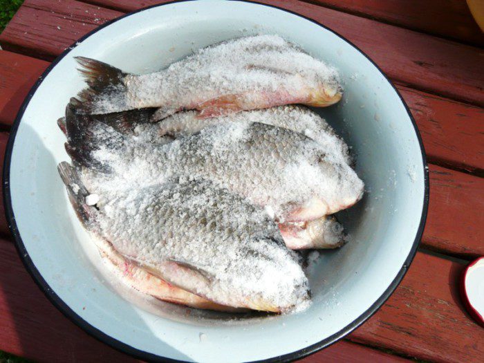 12+ рецептов, как засолить рыбу в домашних условиях