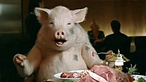 Новогодние открытки со свинками и поросятами - смешные и милые
