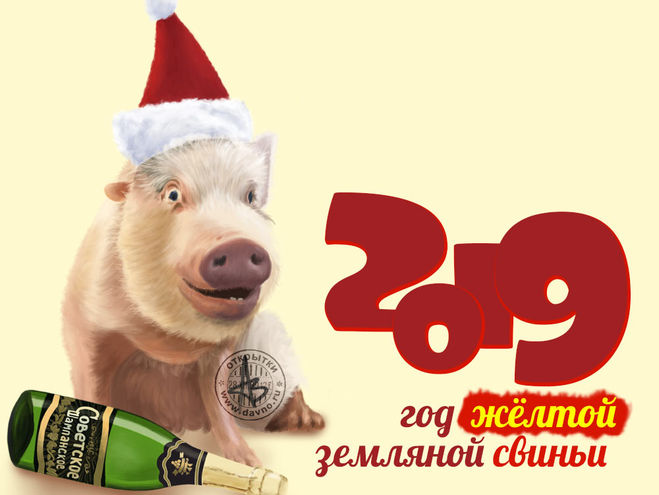 Новогодние открытки со свинками и поросятами - смешные и милые